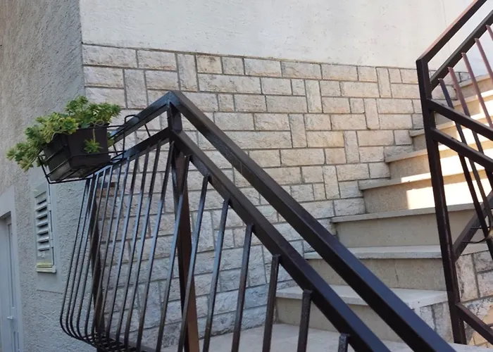 Borik * Ζαντάρ