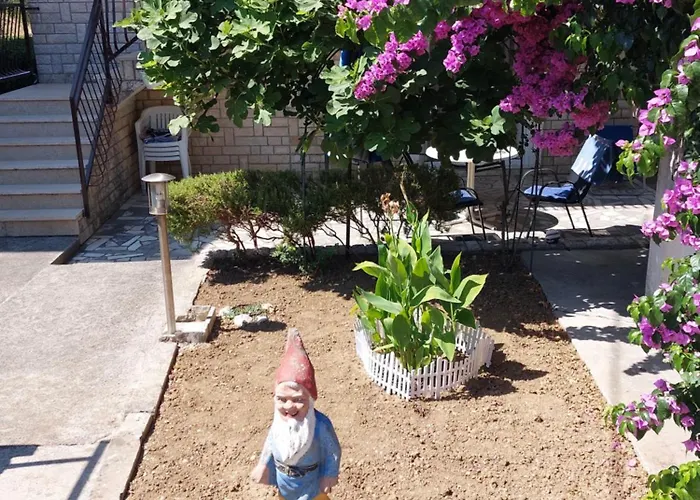 Borik * Ζαντάρ